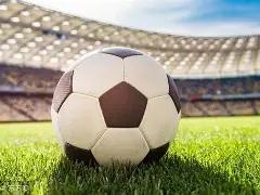 长沙,绒光星夜,共赏毛绒与,BG真人视讯,BG真人,(Sports),BG视讯官网,BG真人官方平台